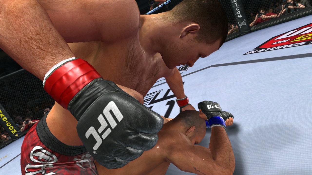 UFC Undisputed 2010 (Edición Especial) - Imagen 19